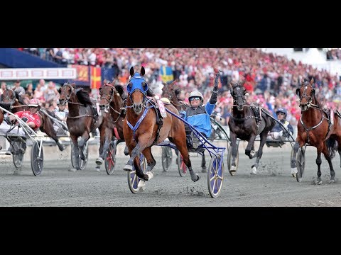 TIMOKO:  ELITLOPPET 2014/2017