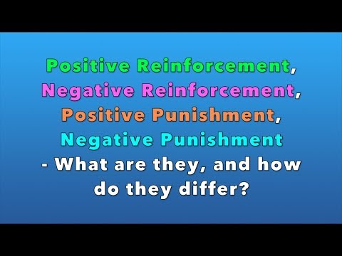 Positive/Negative Reinforcement and Positive/Negative Punishment - What are they?