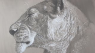 ציור - תצוגה מקדימה לציור פחם