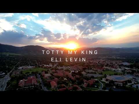 ELI LEVIN - Totty My King (Cover - Acapella) אלי לעווין