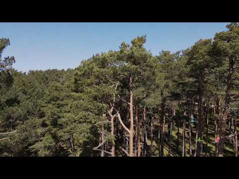 Parque de Aventuras El Amogable