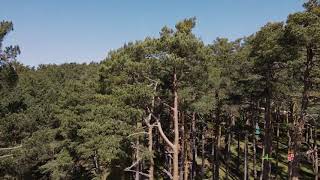 Parque de Aventuras El Amogable