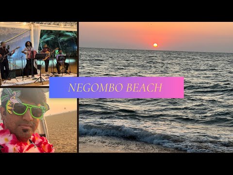 Negombo Beach | Sri Lanka | Sunset | Beach | Music | Orchestra | #travelvlog #sunset #srilanka #tour
