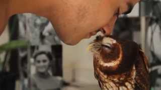 Guy Gives Owl Eskimo Kisses