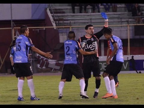 WILSTERMANN 1   2 BLOOMING