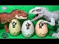 Hatch New Dinosaur Eggs With Jurassic World Dinosaur Toys