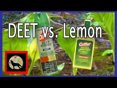 Best Mosquito Repellent - Actual in the field Battle Off with DEET vs. Cutter's Lemon Eucalyptus