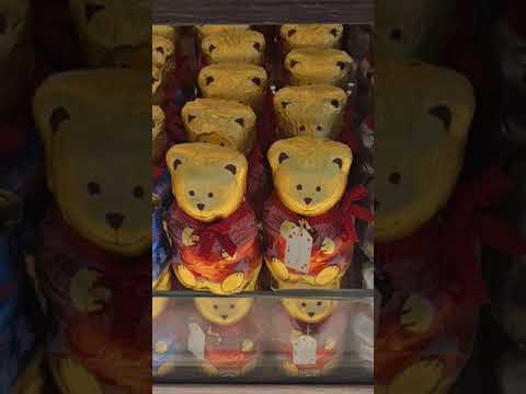 Lindt Chocolates: Teddy and Koala #sydney #lindtchocolate #chocolate #christmas #youtubeshorts
