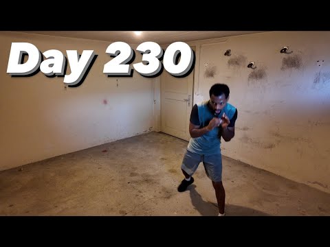 Day 230 of becoming a World Boxing Champion.