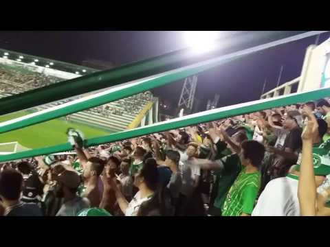 "Barra da chape: Sou chapecoense um sentimento que não vai parar" Barra: Barra da Chape &bull; Club: Chapecoense