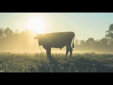 J.V.Rathgeber Allegro