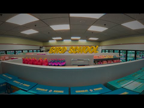 Video thumbnail for Bird School