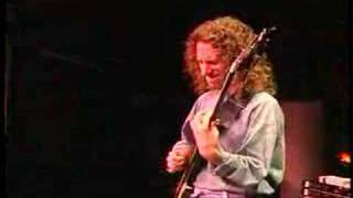 Michael Manring - Monkey Businessman