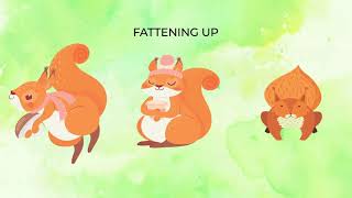 How Do Squirrels Survive Winter Without Hibernating