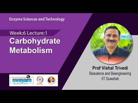 Enzyme Sciences and Technology Intro Video