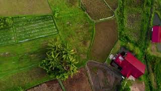 preview picture of video 'Abdi Homestay Harau Valley Drone footage West Sumatra | DJI Mavic Air | September 2018 | 1080P'