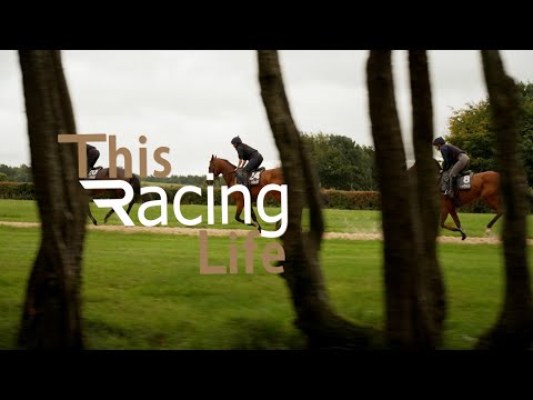 This Racing Life: Nick Scholfield, Mark Grant & Jamie Osborne's Dubai runners