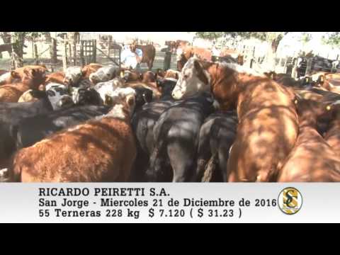 21-12-16 Venta de Hembras - Ricardo Peiretti S.A. - San Jorge.