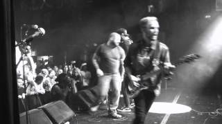 Haste the Day, &quot;Take&quot; (Live in NYC, May 22nd, 2015) &amp; Full Show Review
