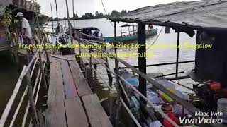 preview picture of video 'Trapeang Sangkae Community Fisheries Ecotourism and Bungalow សហគមន៍ទេសចរណ៌ធម្មជាតិត្រពាំងសង្កែ'