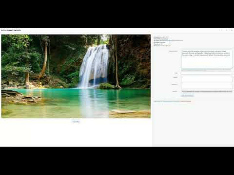 Item video thumbnail