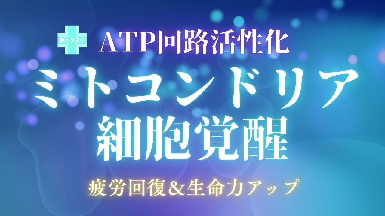 🌈ミトコンドリア細胞覚醒✨ATP回路活性化528Hz✨