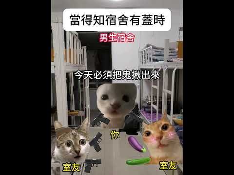【😺CatDramaCorner】當得知宿舍有蓋時 #cat #貓meme小劇場 #00後 #shorts #shortvideo  #funny cat videos