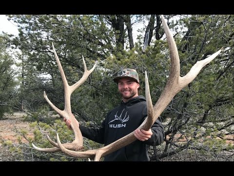 SHED HUNTING IN BROWN TOWN! #SHEDTOUR EPISODE #4