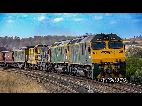 SSR Grain 5 Header with RL's, 1202 4904 & QUBE 4 Header 1103 Leading, 3 QBX's & and a lot MORE!