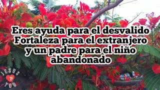 Asi que ven - Crystal Lewis con letra