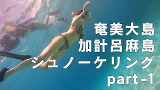 奄美大島🌺Lounge洸スタッフと行く‼️加計呂麻島 シュノーケリング part-1
