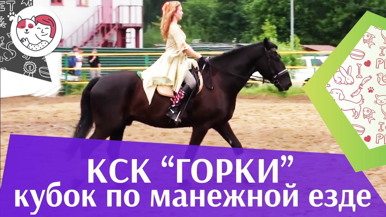 Летний кубок КСК Горки по манежной езде КЮР часть 36 на ilikepet
