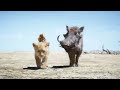 The Lion King In 1 Minute