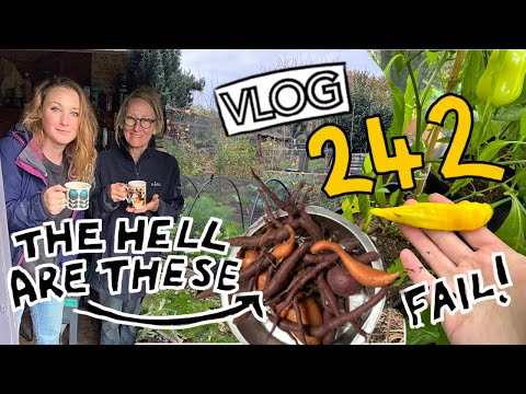 First Frost of the Winter! And unearthing a great pot of Fails! Ep242 || Plot 37