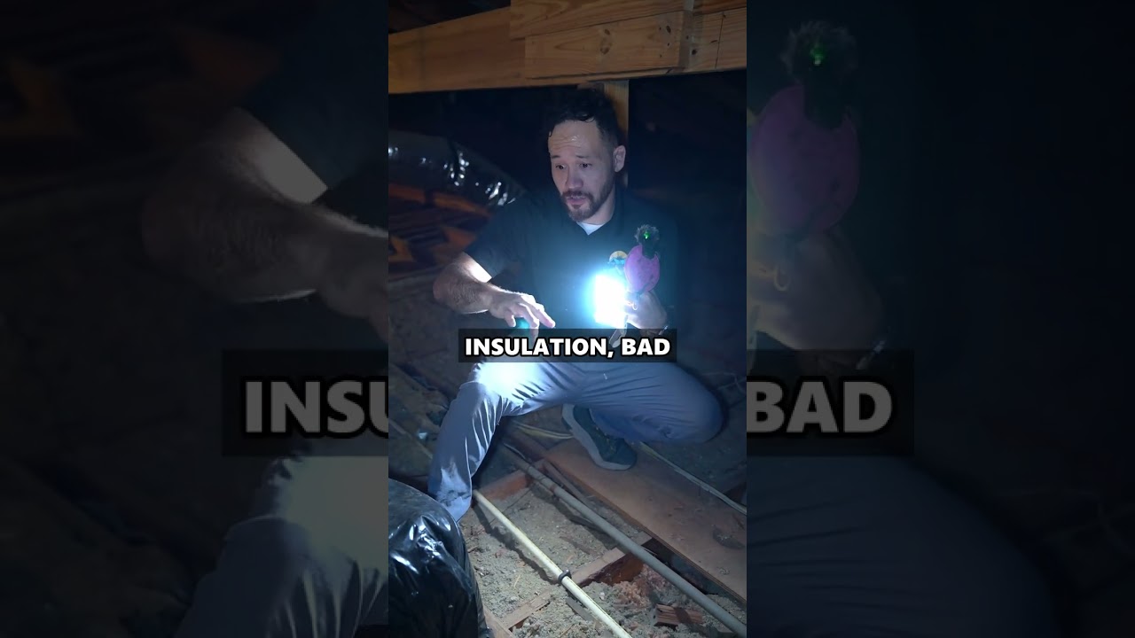 🤧🏠 Is your old insulation causing health issues? Don't suffer any longer! 😷
