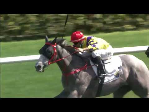 12/3/2022 (495) Brilliant Way - J Moreira