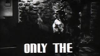 The Great Lie (1941) Video