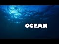 1 Hour Of Ocean With Thomas Newman Vol 2