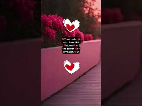 You are the most beautiful flower in the garden of my heart. 💖🌺 #love #relationship #lovequotes