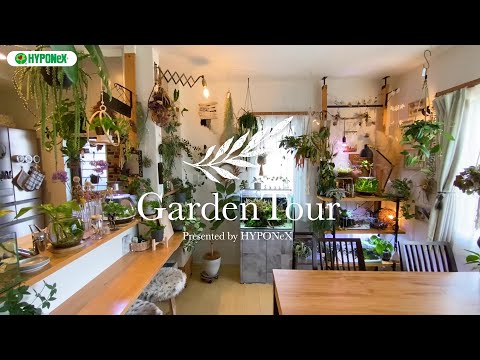 木製プール: 最も環境に優しい解決策?  庭園