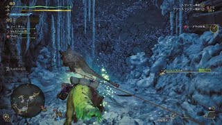 Monster Hunter Wilds