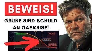 Ausführliche Analyse: Ohne AKW-Abschaltung hätten wir keinen Gas-Mangel