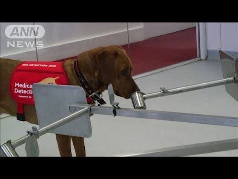 コロナウイルス:多くの人が恐れていたことを研究者が確認