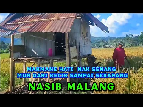 gitar tunggal batang hari sembilan "NASIB MALANG" by. Diki Pranata feat Ningsih
