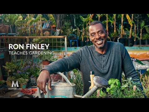 ロン・フィンリーが教えるガーデニング｜公式予告編｜マスタークラス (Ron Finley Teaches Gardening | Official Trailer | MasterClass)