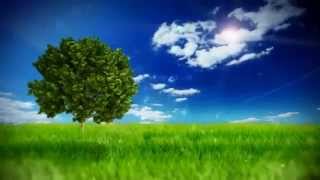 Tengo Sed Marcos Barrientos  Letra