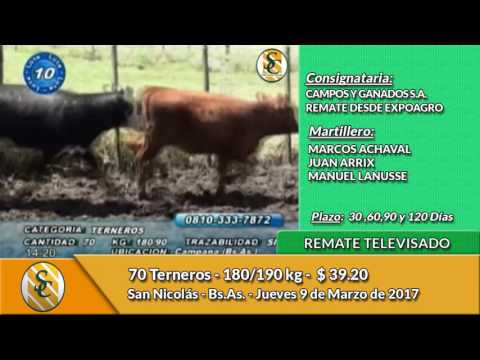 09-03-17 - Venta de Invernada - Remate Televisado Campos y Ganados SA - San Nicolas