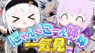 にゃんぐこーん姉妹 一気見総集編【ホロライブ/hololive/白上フブキ/猫又おかゆ/切り抜き/3Dアニメ】