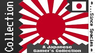 A Look At A Japanese Gamer's Library