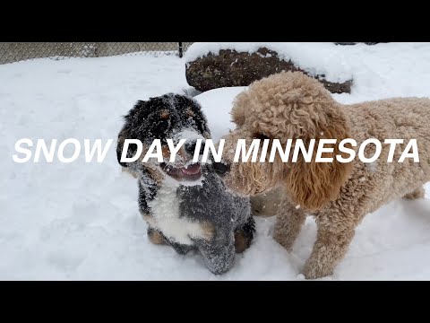 SNOW DAY IN MINNESOTA